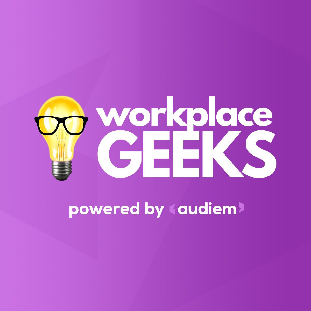 Workplace Geeks Audiem